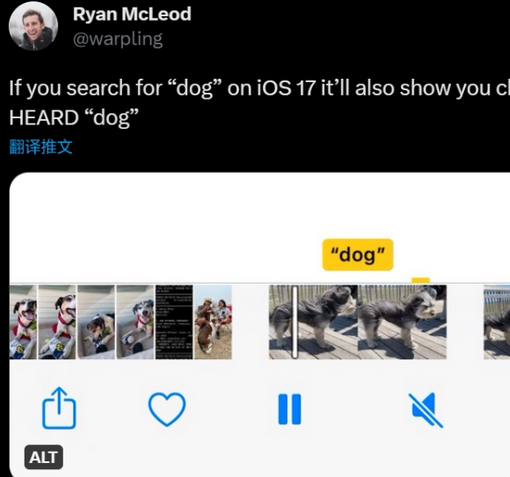 夷陵apple维修店分享通过关键字搜索iPhone视频内声音 